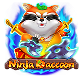 Ninja Raccoon