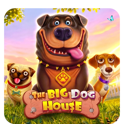The Big Dog House