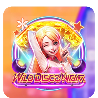 Wild Disco Night